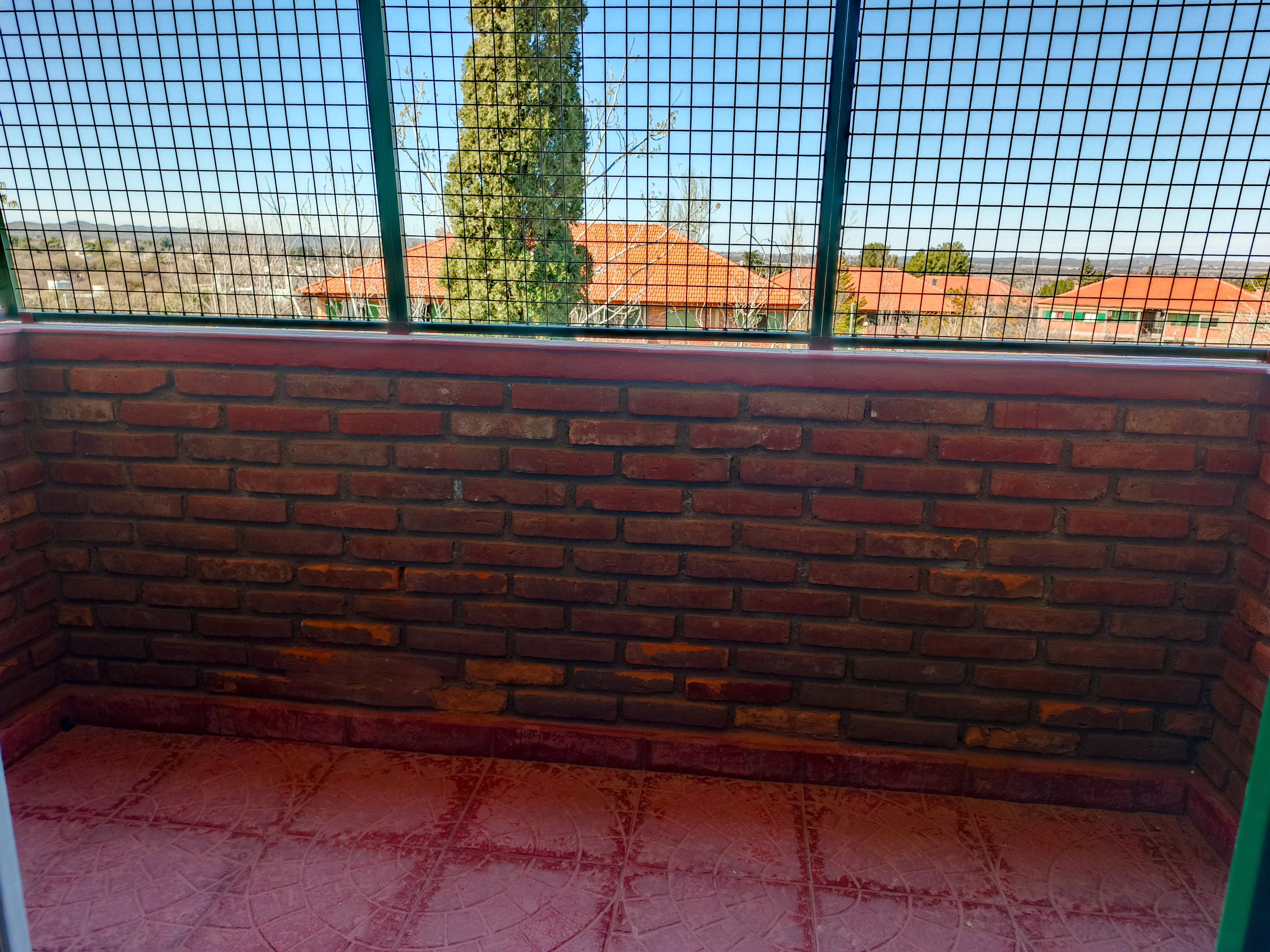 IMG_20250806_124921_725